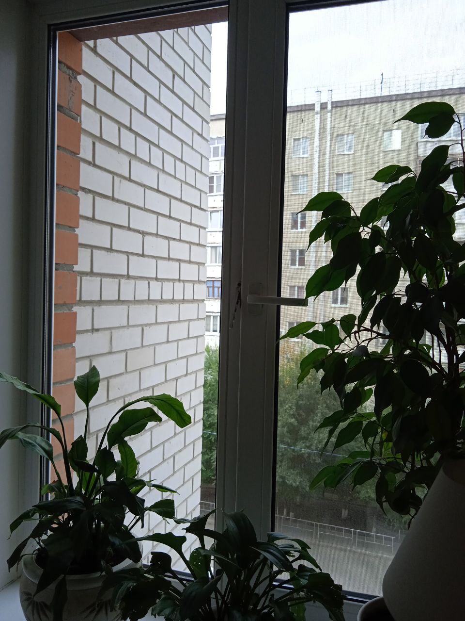 https://sudak.delaem-okna.ru/storage/app/uploads/public/63f/332/8c0/63f3328c0408d690824237.jpg