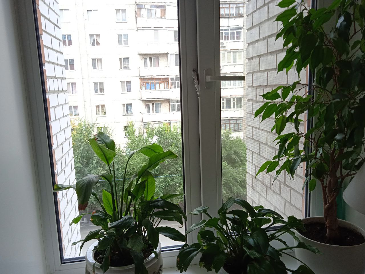 https://sudak.delaem-okna.ru/storage/app/uploads/public/63f/332/8c0/63f3328c0d6f7867060515.jpg